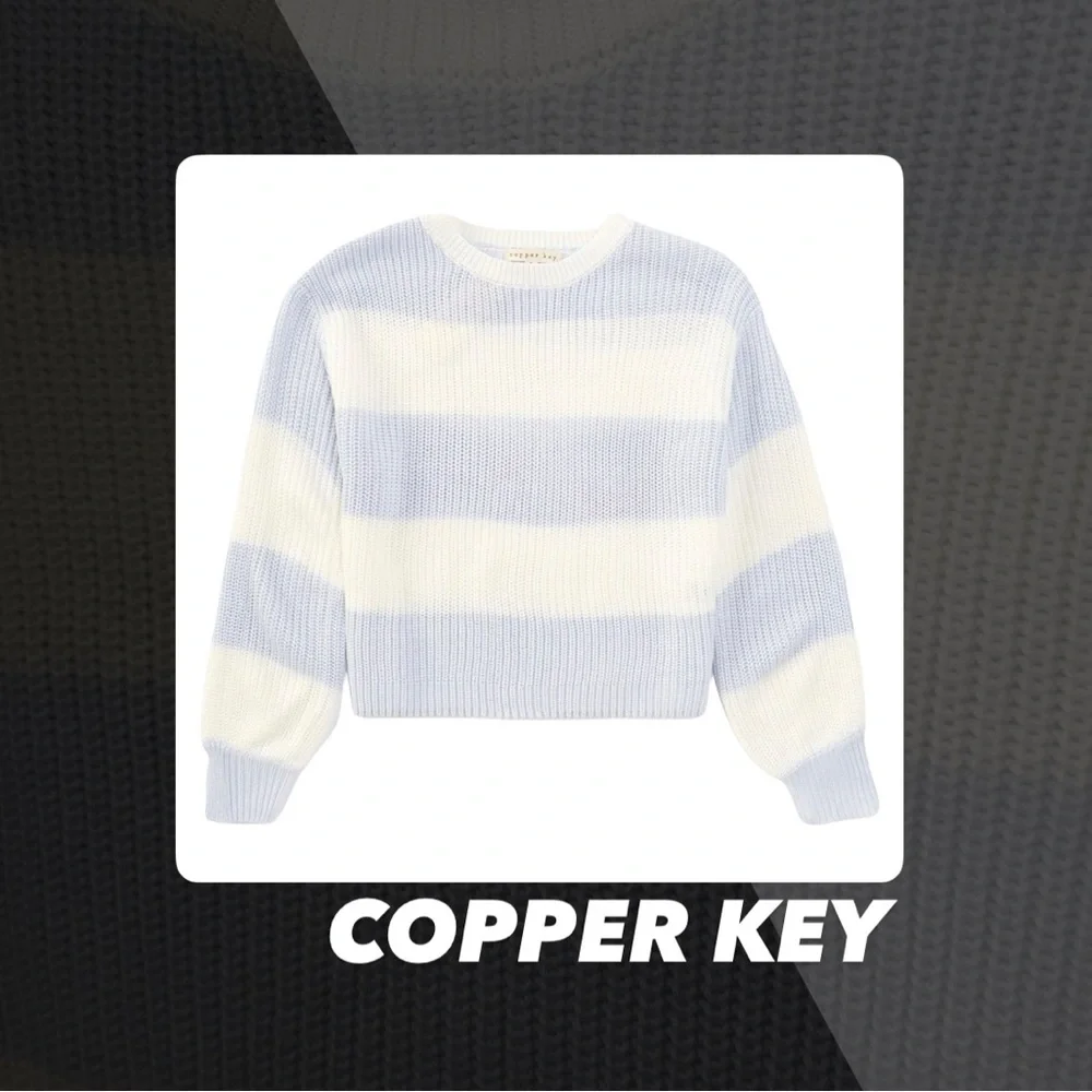 EUC Copper Key Icy Blue Shaker Striped Sweater